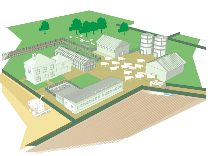 Jacey digital illustration jaceytec68